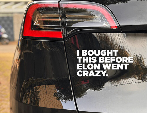 I bought this before Elon went crazy auto Sticker Tesla - Afbeelding 2